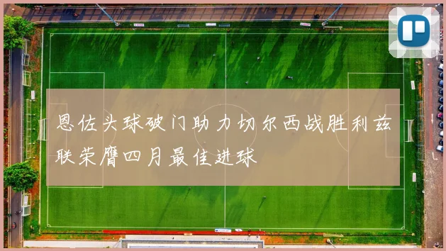 恩佐头球破门助力切尔西战胜利兹联荣膺四月最佳进球